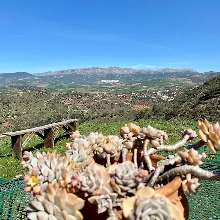 El Sueno, Cortijo Andalusi Del Siglo Xix * Almogía